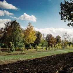 Volgodonsk Botanical Garden - Volgodonsk