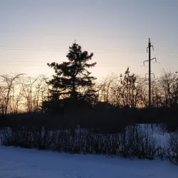 Volgodonsk Botanical Garden - Volgodonsk