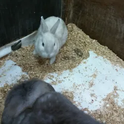 Volgodonsk History Museum - Volgodonsk