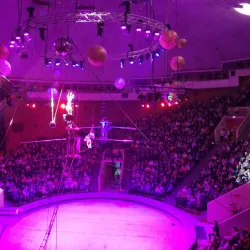 Volgograd Circus - Volgograd