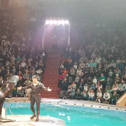 Volgograd Circus - Volgograd