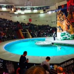 Volgograd Circus - Volgograd