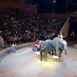 Volgograd Circus - Volgograd