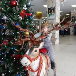 Volgograd Circus - Volgograd