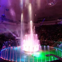 Volgograd Circus - Volgograd