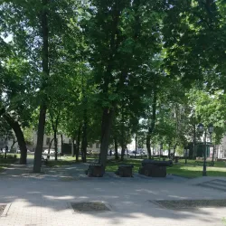 Monument to Peter the Great - Voronezh