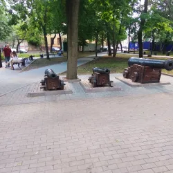 Monument to Peter the Great - Voronezh