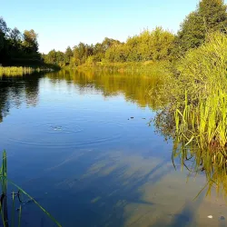River Voronezh Embankment - Voronezh
