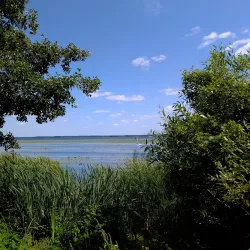 River Voronezh Embankment - Voronezh