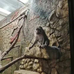 Voronezh Zoo - Voronezh