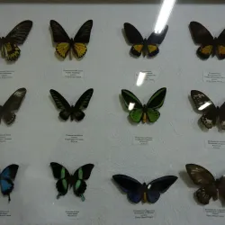 Voronezh Zoo - Voronezh