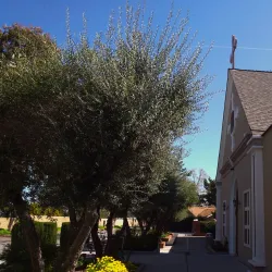 Church of St. Nicholas - Vyshny Volochyok (Vyshniy Volochëk)