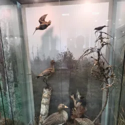 Vyshny Volochyok Local History Museum - Vyshny Volochyok (Vyshniy Volochëk)