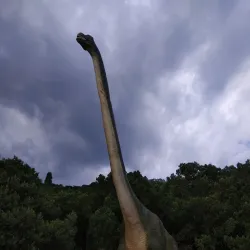 Dendrarium Park - Yalta