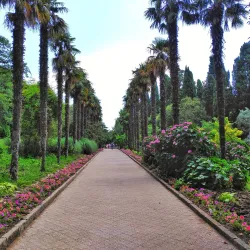 Nikitsky Botanical Garden - Yalta