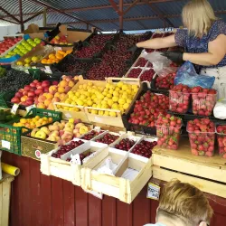 Local Market - Yegoryevsk