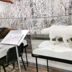 Museum of Local Lore - Yegoryevsk