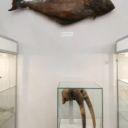 Museum of Local Lore - Yegoryevsk