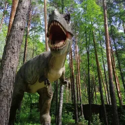 Central Park of Culture and Recreation - Yekaterinburg