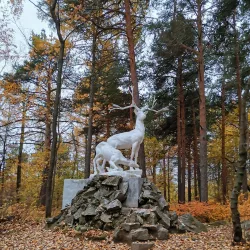 Central Park of Culture and Recreation - Yekaterinburg