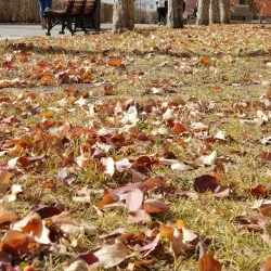 Sevastyanov's House - Yekaterinburg