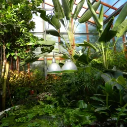 Ural State University Botanical Garden - Yekaterinburg