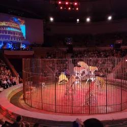 Yekaterinburg Circus - Yekaterinburg
