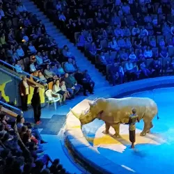 Yekaterinburg Circus - Yekaterinburg