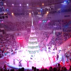 Yekaterinburg Circus - Yekaterinburg