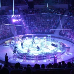 Yekaterinburg Circus - Yekaterinburg