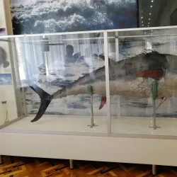 Evpatoria Museum of Local Lore - Yevpatoria