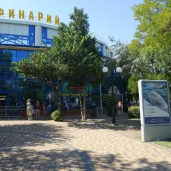 Yevpatoria Dolphinarium - Yevpatoria