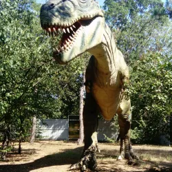 Yevpatoria Dolphinarium - Yevpatoria