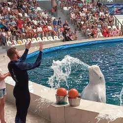 Yevpatoria Dolphinarium - Yevpatoria