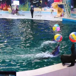 Yevpatoria Dolphinarium - Yevpatoria