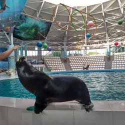 Yevpatoria Dolphinarium - Yevpatoria