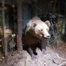 National Museum of the Republic of Mari El - Yoshkar-Ola