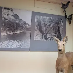 Yurga Local History Museum - Yurga