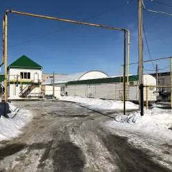 Central Market - Yuzhnouralsk