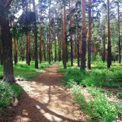 Yuzhnouralsk Cultural Center - Yuzhnouralsk
