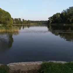 Zelenograd City Park - Zelenograd