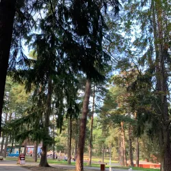 Victory Park - Zhukovsky