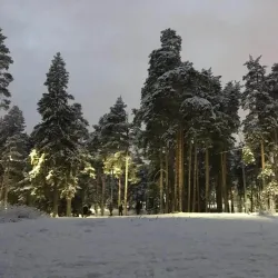 Victory Park - Zhukovsky