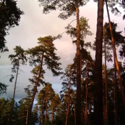 Victory Park - Zhukovsky