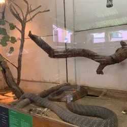 Kandt House Museum of Natural History - Kigali