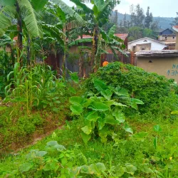 Mount Kigali - Kigali