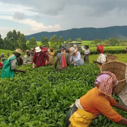 Community Visits and Cultural Exchanges - Nyamata