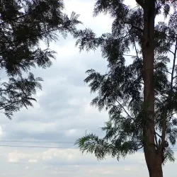 Rwandan Countryside Walks - Nyamata