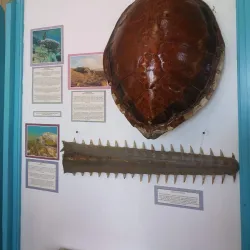 National Museum of Saint Kitts - Basseterre