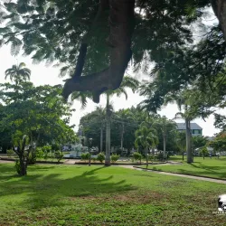 Portsmouth Square - Basseterre